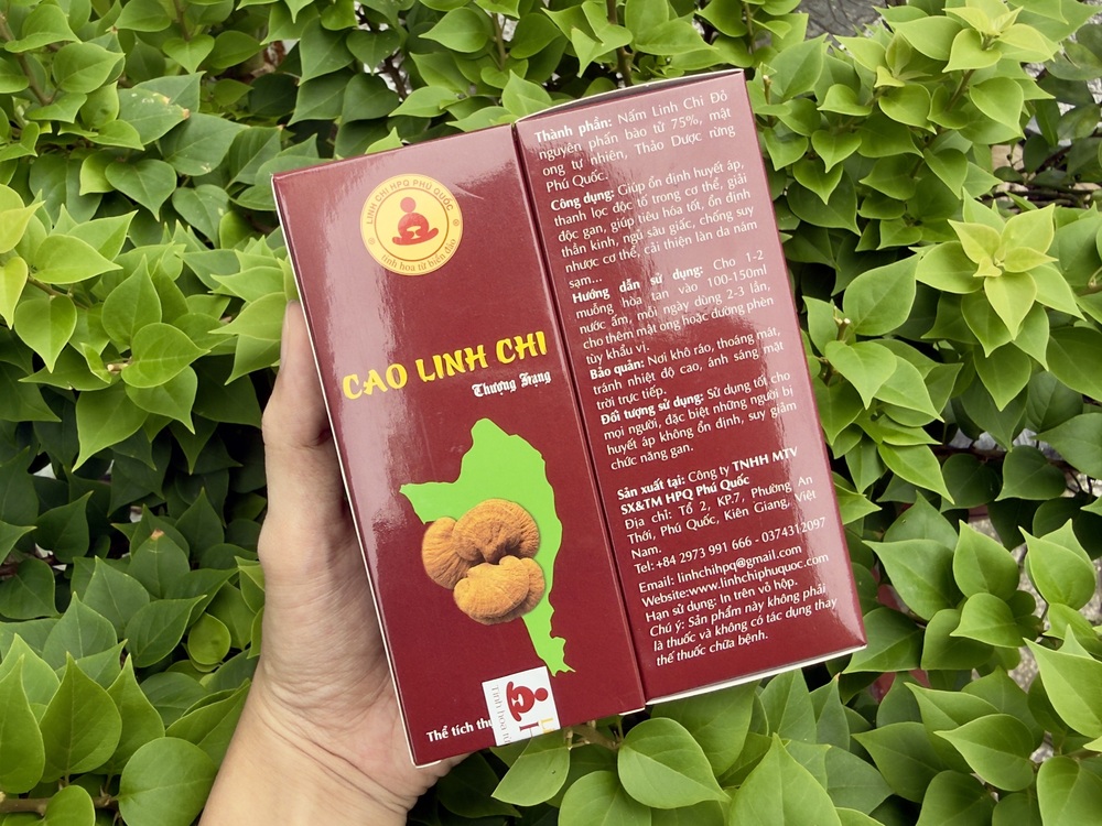 Giới thiệu Cao Linh Chi