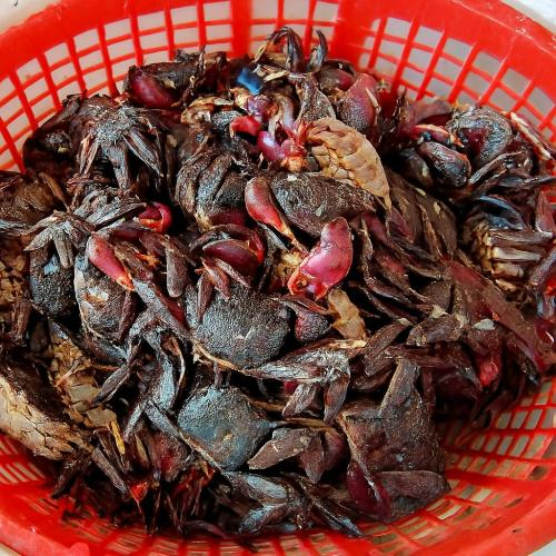 Mắm Ba Khía Đăc Sản Trứ Danh Miền Tây Có Gì Đặc Biệt?