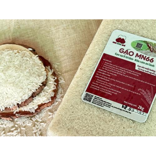 Gạo MN66 Túi 2kg