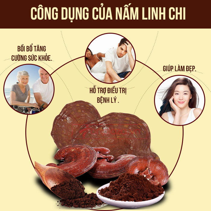 Hiệu quả điều trị của Nấm Linh chi