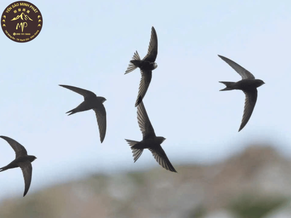 Những trường hợp nên sử dụng