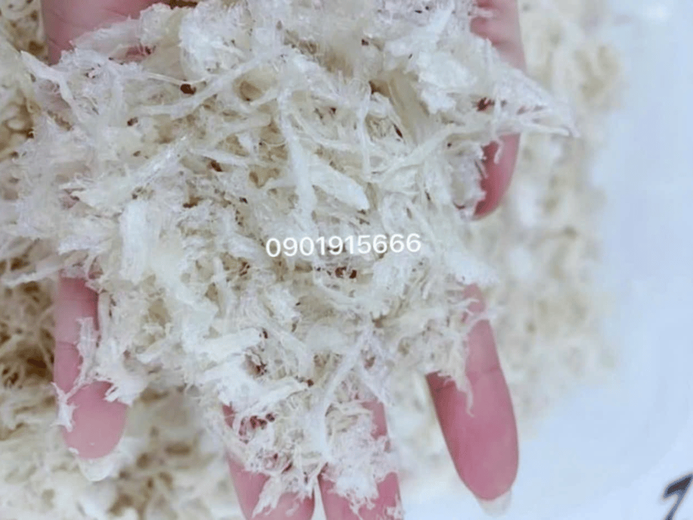 Giới thiệu chi tiết