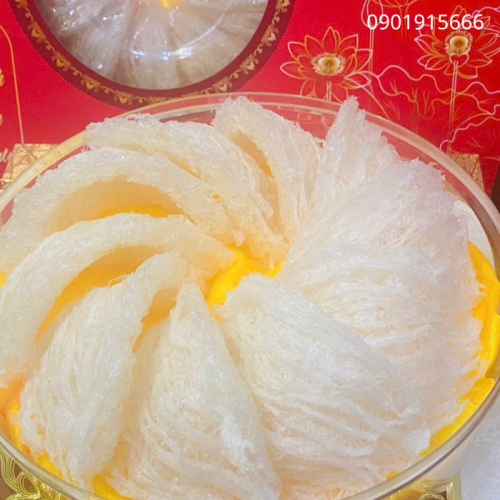 Vì Sao Tổ Yến Được Xem Là Thực Phẩm Quý Cho Sức Khỏe?