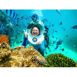 Đi Bộ Dưới Biển Tại Công Viên San Hô Namaste
