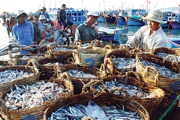 Chỉ dẫn địa lý