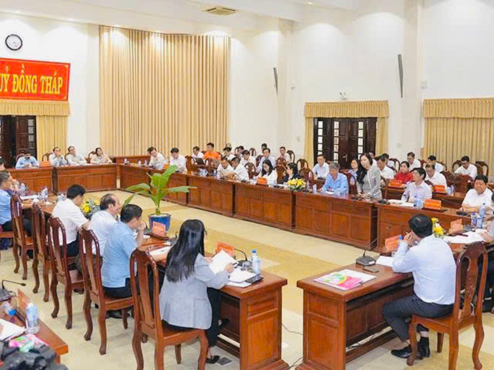 Chức năng hoạt dộng của hội