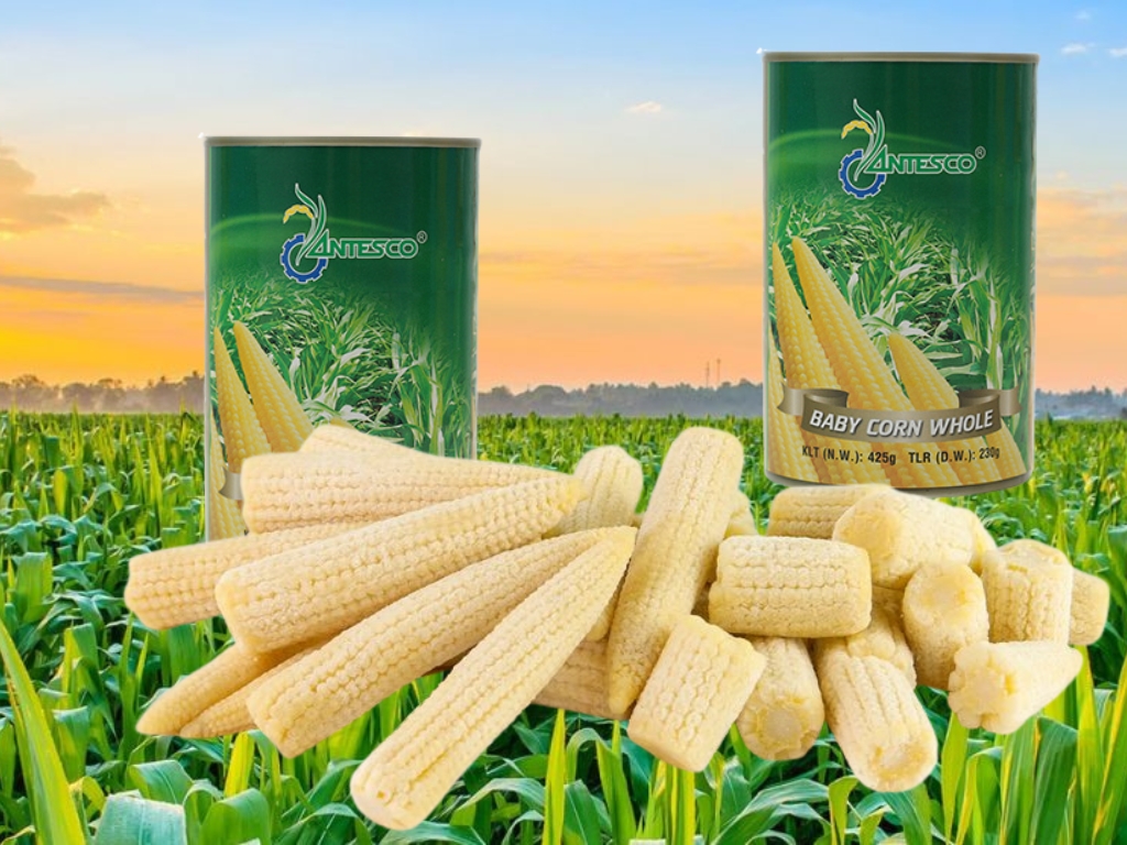 Perfect for Every Kitchen