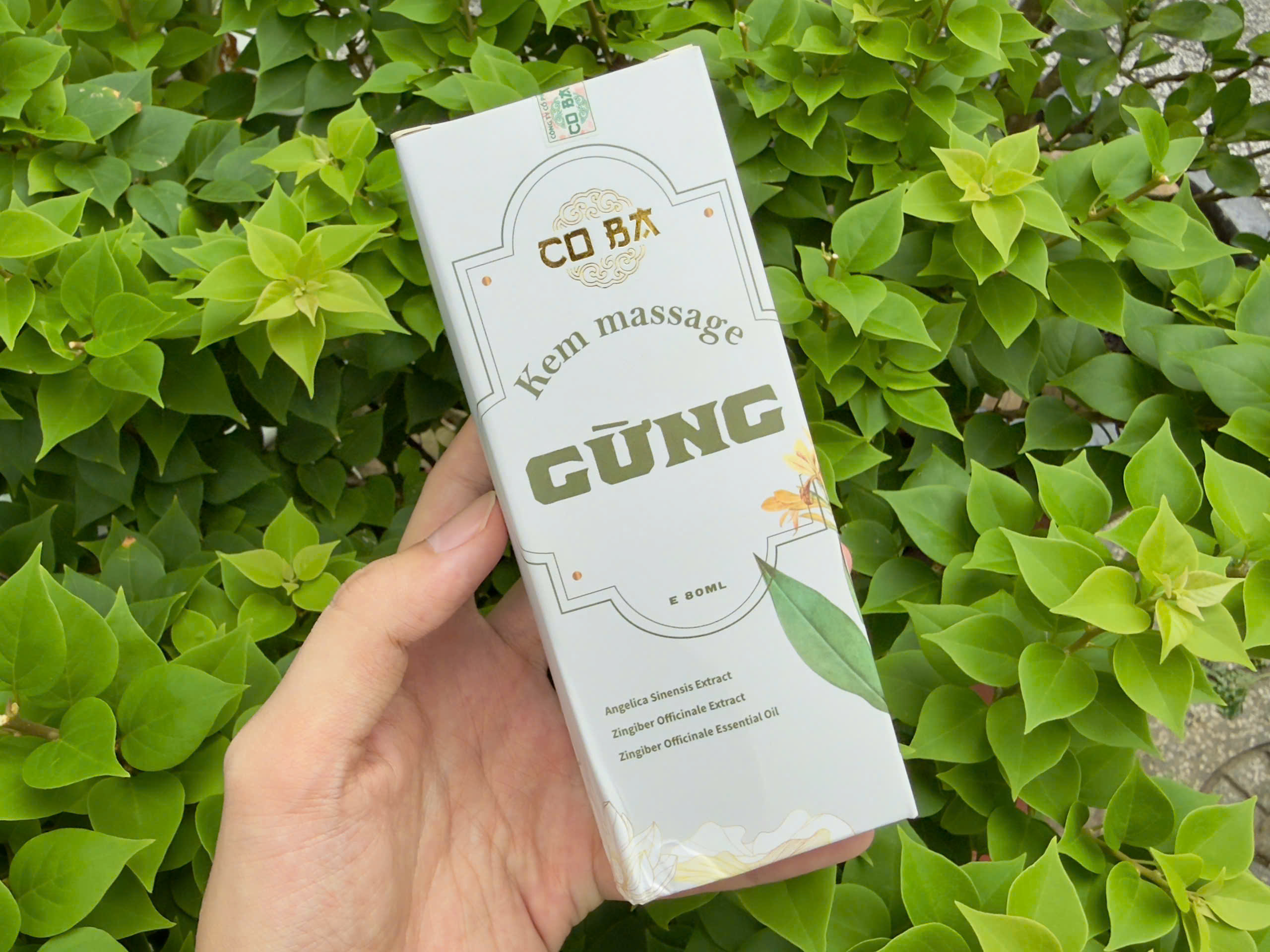 Giới thiệu sản phẩm