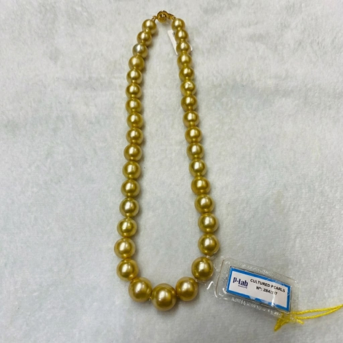 Chuỗi Cổ Ngọc Trai Nước Mặn SouthSea (Size 10 - 14mm)