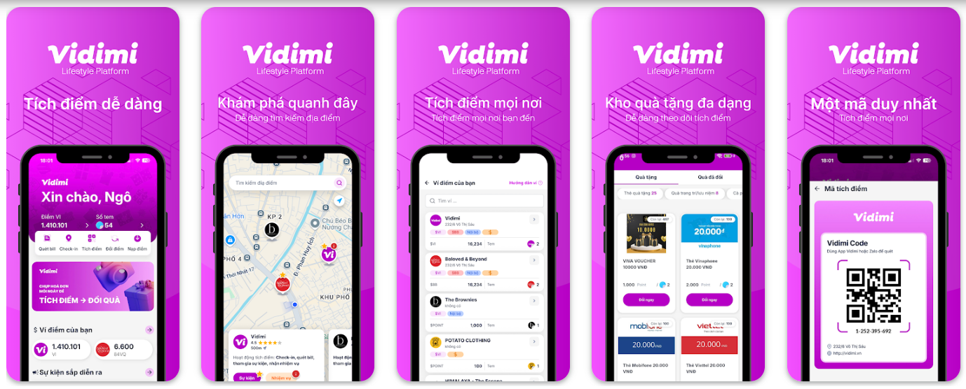 Vidimi là gì?