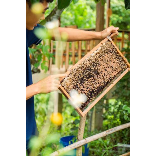 (TOUR RIÊNG) Chèo Thuyền Thúng Sông Cửa Cạn + Tham Quan Trang Trại Mật Ong