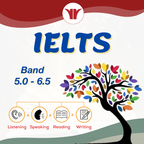 Luyện Thi IELTS 5.0 - 6.5