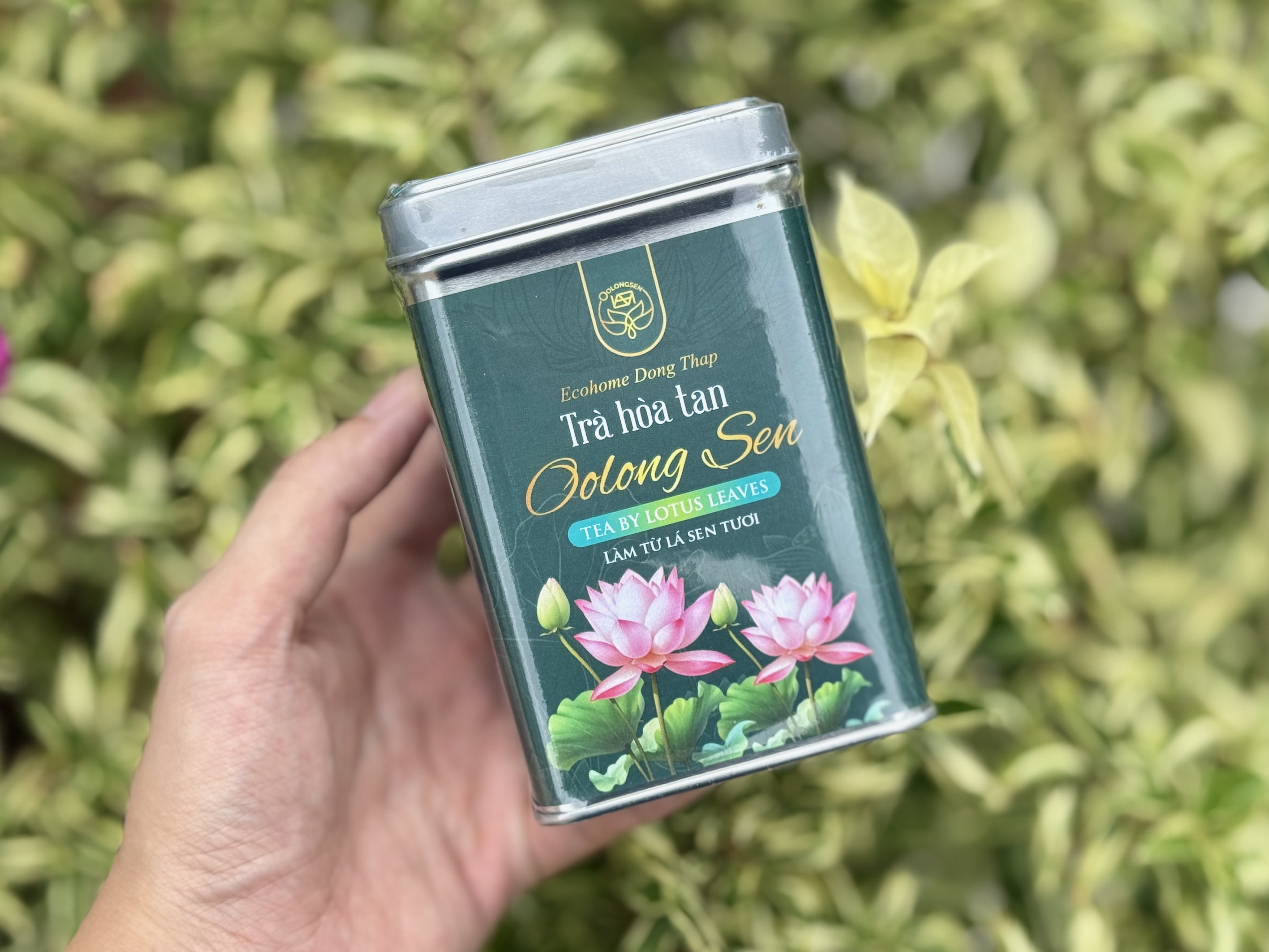 Hướng dẫn sử dụng