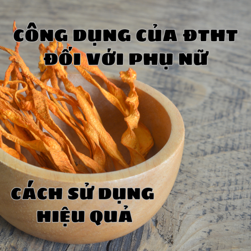 Công Dụng Của Đông Trùng Hạ Thảo Đối Với Phụ Nữ Và Cách Sử Dụng Hiệu Quả